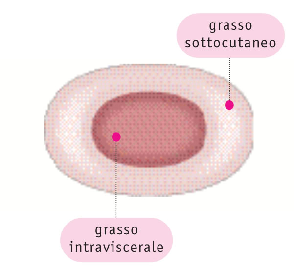 Nella donna prevale il grasso sottocutaneo Nella donna prevale il grasso sottocutaneo
